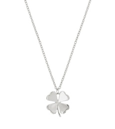 Lucky Necklace - Steel