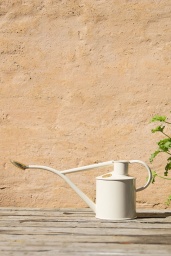 Vattenkanna 1 Liter Creme