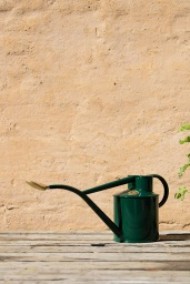 Vattenkanna 1 Liter Mörkgrön