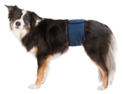 Hanhundsskydd,mörkblå 