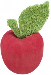 Äpple, trä/luffa, ø 5.5 × 9 cm