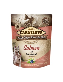 Pouch Paté Salmon with Blueberries Puppy 300g