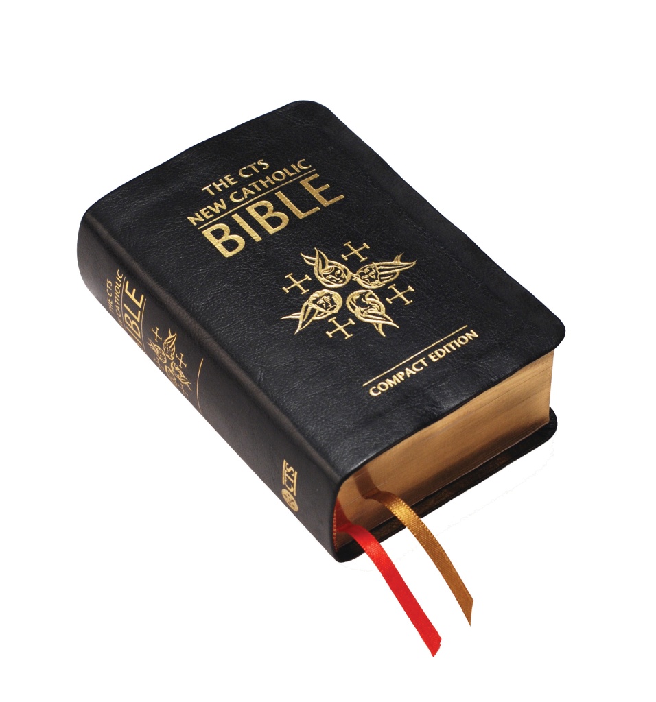CTS New Catholic Bible Compact Flexi Bound LillaTherese.