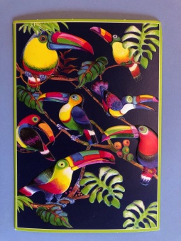Färgglada Tucan-fåglar i ett träd