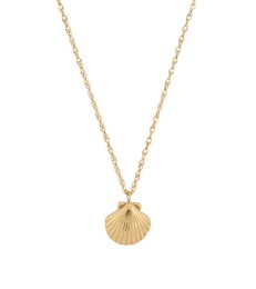 Beachcomber Shell Necklace - Gold