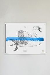 Le Cygne No. 6 Blue
