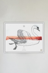 Le Cygne No. 6 Red