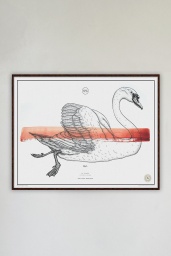 Le Cygne No. 6 Red