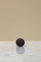 Citruspress | Anna Wadle
