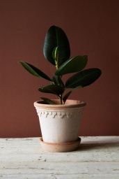 Köpenhamn Kruka Rosa 16 cm