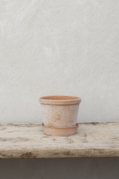 Parade Kruka Rosa 15 cm