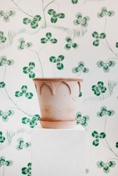 Elizabeth Kruka Rosa 18 cm