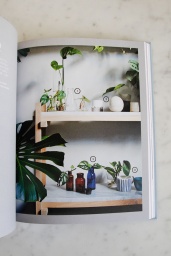 Plant Society