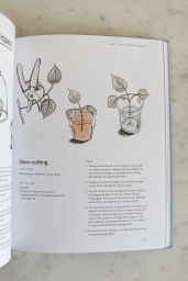 Plant Society