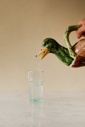 Pitcher Duck