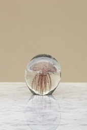 Paperweight Red Jellyfish