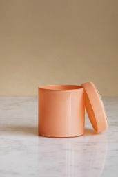 Container Small Nude