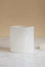 Container Large Milk