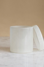 Container Large Milk