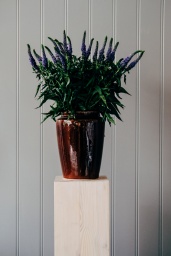 Cone Vase Brown