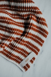 Disktrasa Ochre