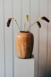 Urna Mustard Curve