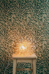 Cluster Lamp