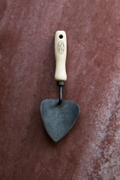Hjärtspade
