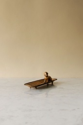 Gold Dog Tray