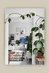 Green Home Book