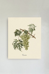 Green Grapes