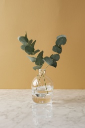 Vas Grow L | Nina Christensen