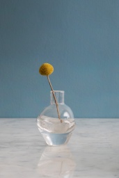 Vas Grow S | Nina Christensen