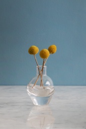 Vas Grow S | Nina Christensen