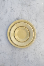 Enamel Dinner Plate Dust Light Yellow