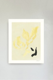 Hein Studio Shadow NO 15