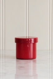 Container Small Red