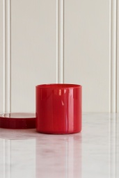 Container Small Red