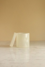 Container Large Milk