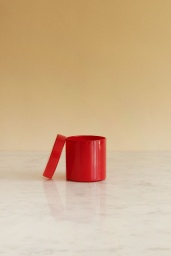 Container Small Red