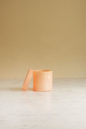Container Small Nude