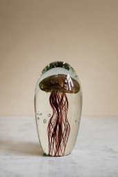 Glass Jellyfish