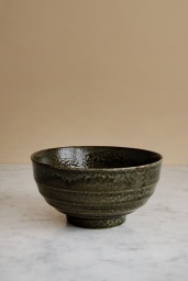 Japanese Noodle Bowl Moss