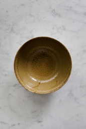 Japanese Noodle Bowl Brown