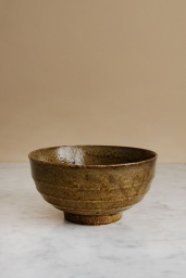 Japanese Noodle Bowl Brown