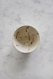 Kyoto Bowl Splatter