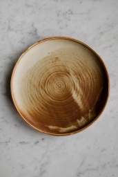 Kyoto Rustic Dinner Plate