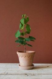 Köpenhamn Kruka Rosa 12 cm