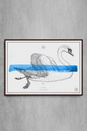Le Cygne №.6 Blue