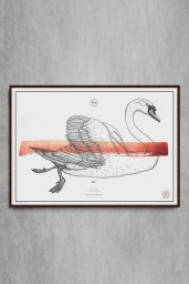 Le Cygne №.6 Red